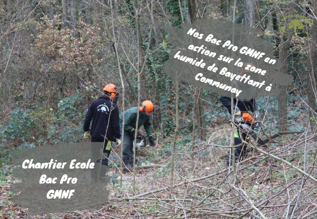 Élèves de Terminale Bac Pro GMNF de la MFR d’Anse en chantier école sur la zone humide du Bayettant à Communay. Les jeunes réalisent des travaux de gestion écologique. Formation pratique dédiée à la préservation des milieux naturels.